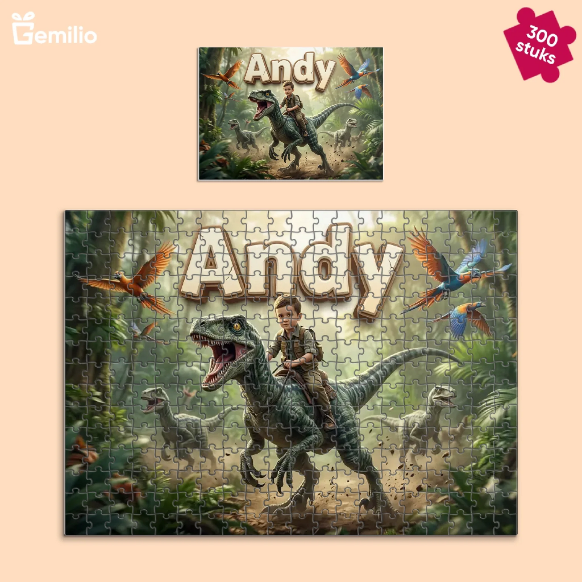 Puzzle 300