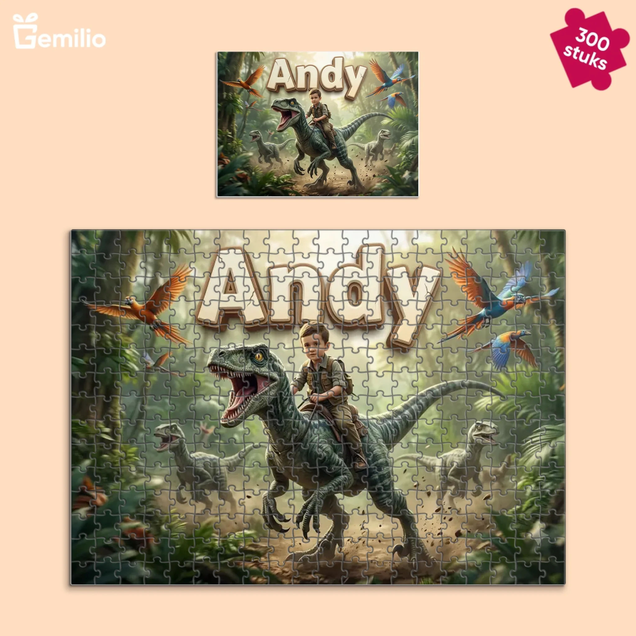 Puzzle 300